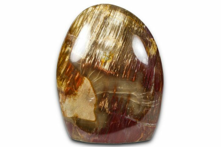Free-Standing, Polished Petrified Wood - Madagascar #376108